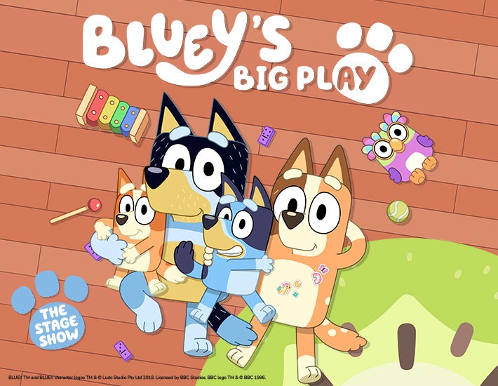 Bluey's Big Play  Barbara B Mann I Official Website
